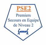 Premiers Secours en Equipe de Niveau 2 - Initiale